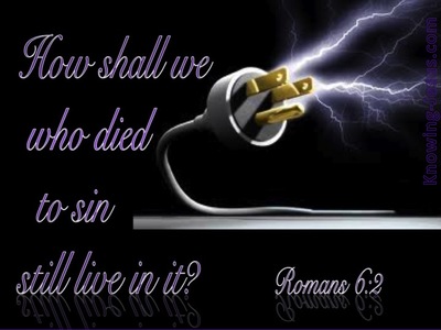 Romans 6:2 We Died To Sin (black)